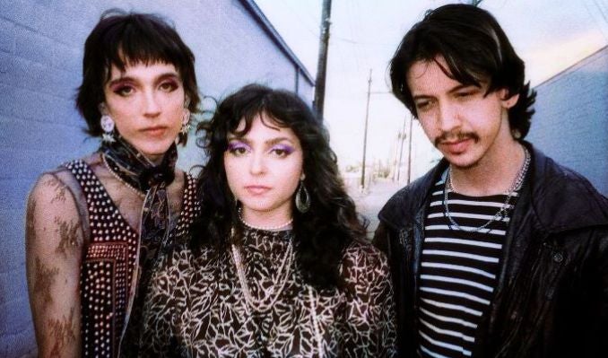 More Info for The Velveteers